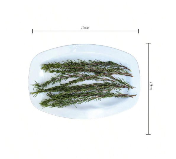 Natural Fresh Dried Rosemary Leaves for Candle Making