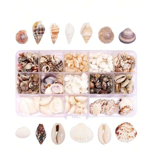 Natural Conch and Sea Shells for Resin Art