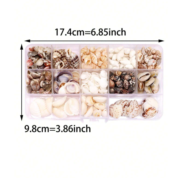 Natural Conch and Sea Shells for Resin Art