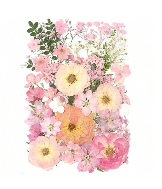 Pink Colored Dried Flowers for Resin Art