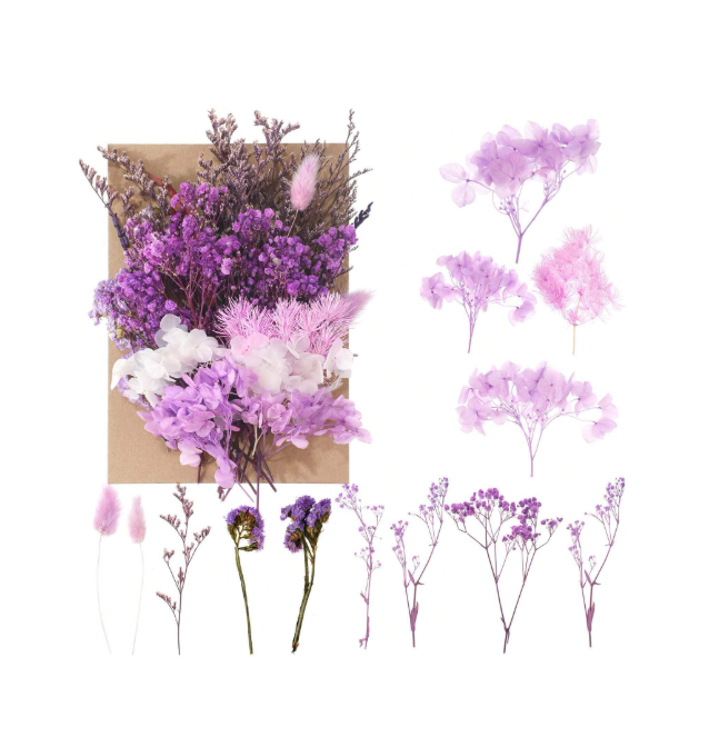 Dried Flower With Stem for Resin and Candle Making