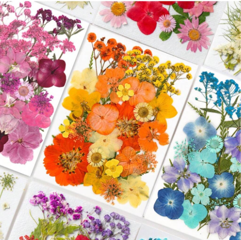 30pcs Dried Flowers for Resin Art