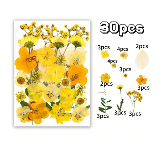 30pcs Dried Flowers for Resin Art