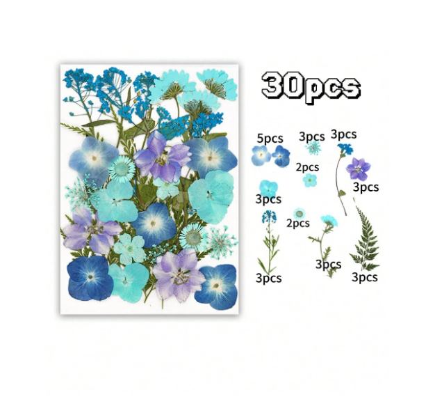 30pcs Dried Flowers for Resin Art | Fillings - Resinarthub