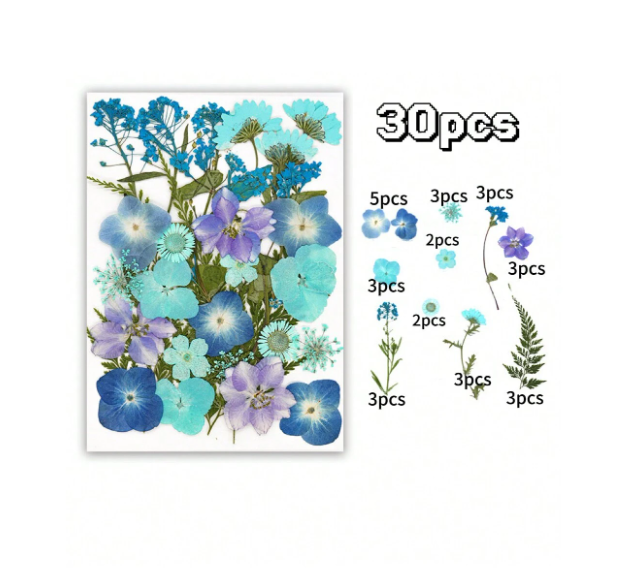 30pcs Dried Flowers for Resin Art