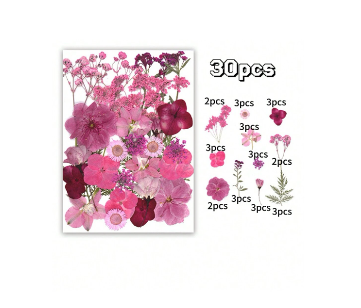 30pcs Dried Flowers for Resin Art