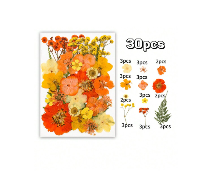 30pcs Dried Flowers for Resin Art