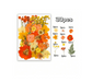 30pcs Dried Flowers for Resin Art | Fillings - Resinarthub