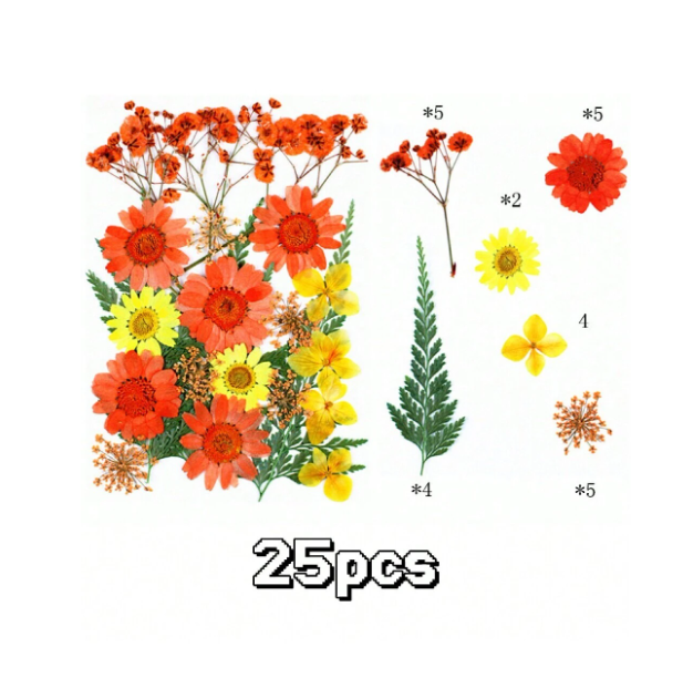 25pc Dried Flower for Resin Art