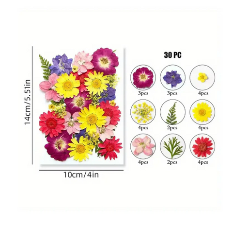 Dried Pressed Flower for Candle and Resin Art | Fillings - Resinarthub