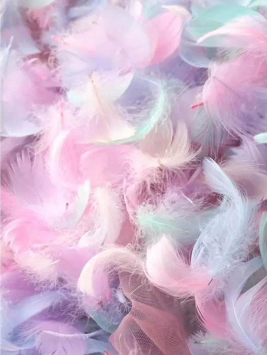 Craft Feather Pack for Art and Craft(100pcs) | Fillings - Resinarthub
