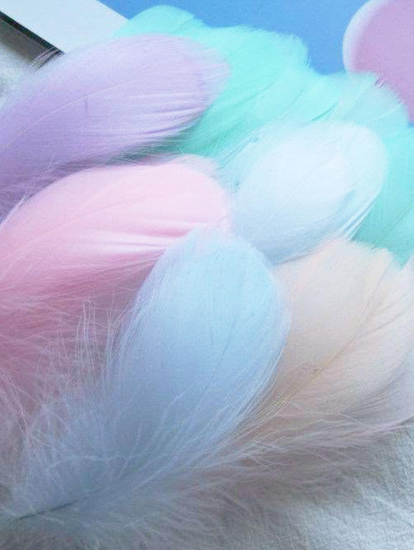 Craft Feather Pack for Art and Craft(100pcs) — Resinarthub
