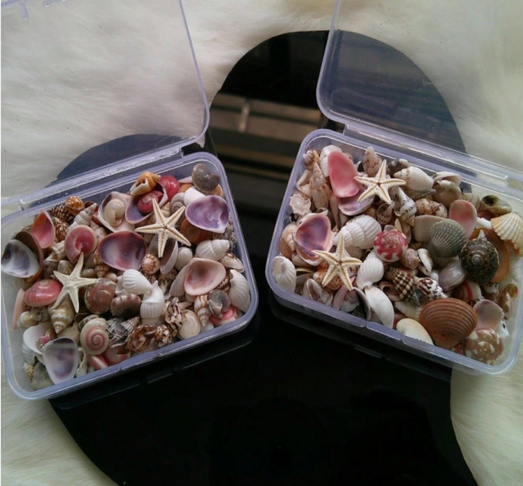 Mini Beachcomber Set for Resin Art