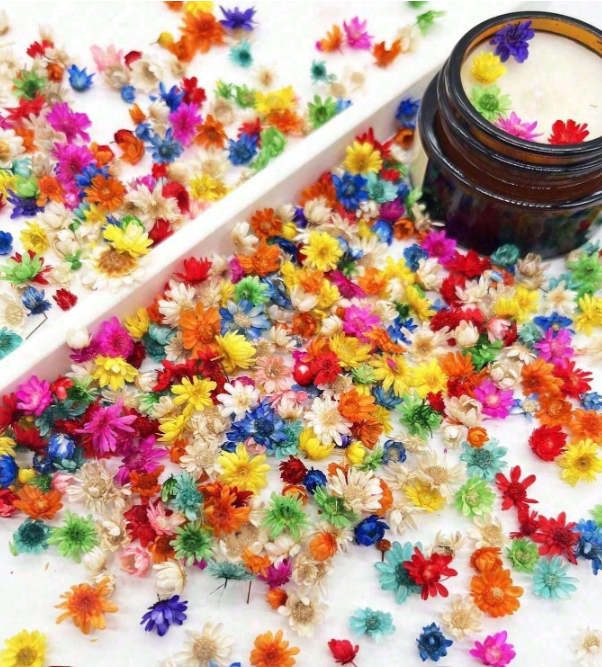 Dried Colorful Tiny Flowers for Resin Art(1g)
