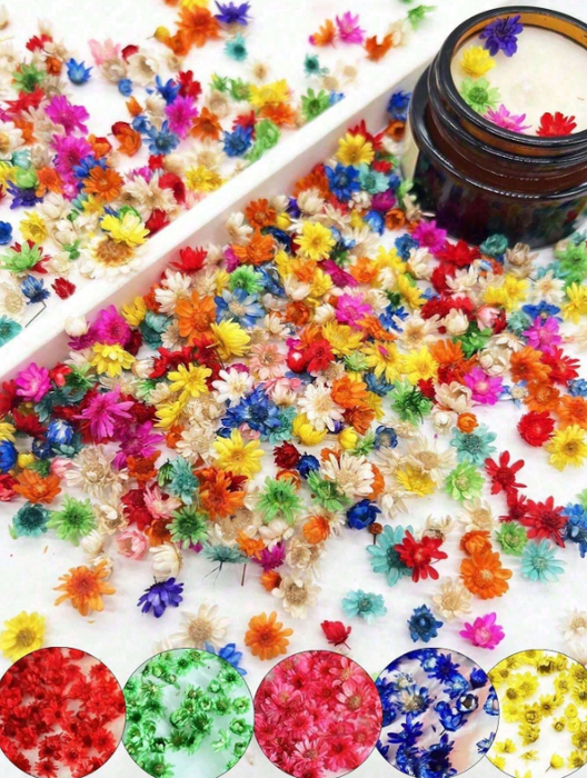 Dried Colorful Tiny Flowers for Resin Art(1g)