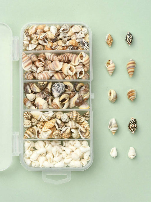 Seashell & Small Conch DIY for Resin Art/2 | Fillings - Resinarthub