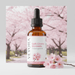 Veyora Soft Cherry Blossom Fragrance Oil for Candle Making | candle - Resinarthub