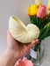 Sea Shell Shaped Silicone Candle  mold (2 variants) | Mould - Resinarthub
