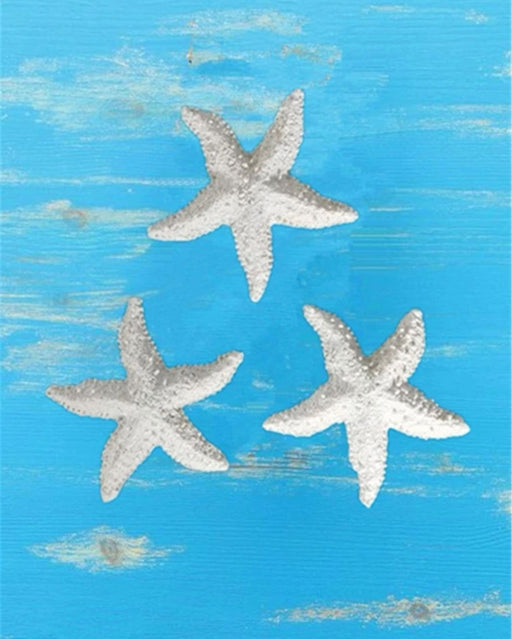 Star Fish For Resin Art Decor / 2 |  - Resinarthub