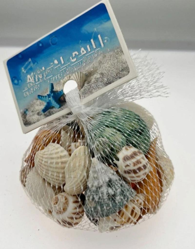 Natural Shells for Resin Art (140g) — Resinarthub