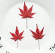 Red Maple Leaf for Art & Crafts | Fillings - Resinarthub