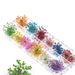 24PCS Dried Flowers For Resin Art | Fillings - Resinarthub