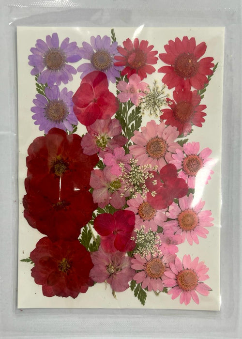 Dried and Pressed Flowers in Various Colors, Shapes and Sizes for Resin Art | Fillings - Resinarthub