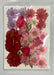 Dried and Pressed Flowers in Various Colors, Shapes and Sizes for Resin Art | Fillings - Resinarthub