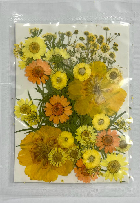 Dried and Pressed Flowers in Various Colors, Shapes and Sizes for Resin Art | Fillings - Resinarthub