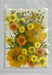 Dried and Pressed Flowers in Various Colors, Shapes and Sizes for Resin Art | Fillings - Resinarthub