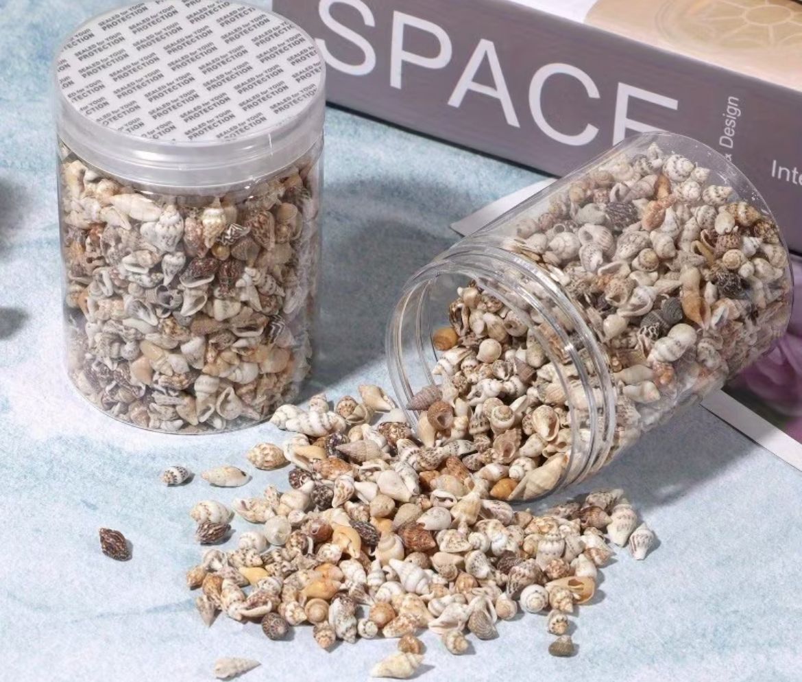 Mini Ball Shells 1000pcs Colorful Mini Shells for Resin Art — Resinarthub