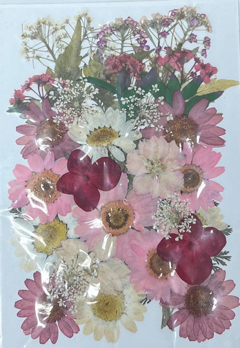 Dried and Pressed Flowers in Various Colors, Shapes and Sizes for Resin Art | Fillings - Resinarthub