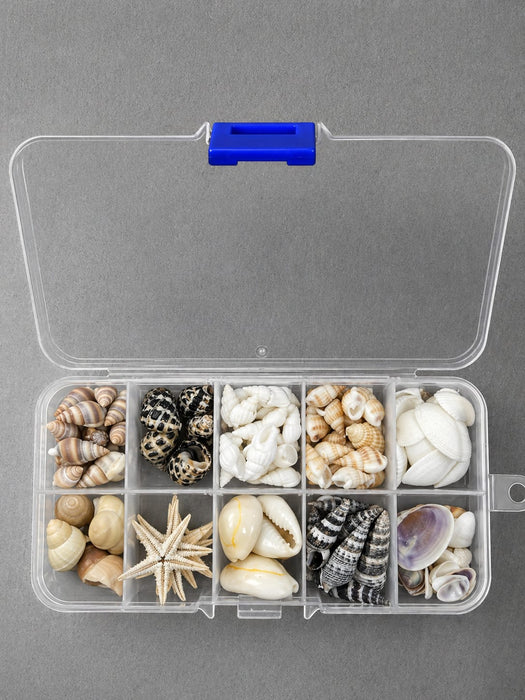 Shells And Conch Set for Resin Art and Craft