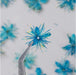 12pc Dried Flower Blue Flower for Resin Art | Fillings - Resinarthub