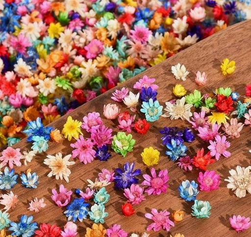 Tiny Dried Flowers for Resin Art | Fillings - Resinarthub