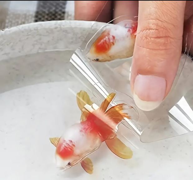 20pc Goldfish Sticker for Resin Ocean Art