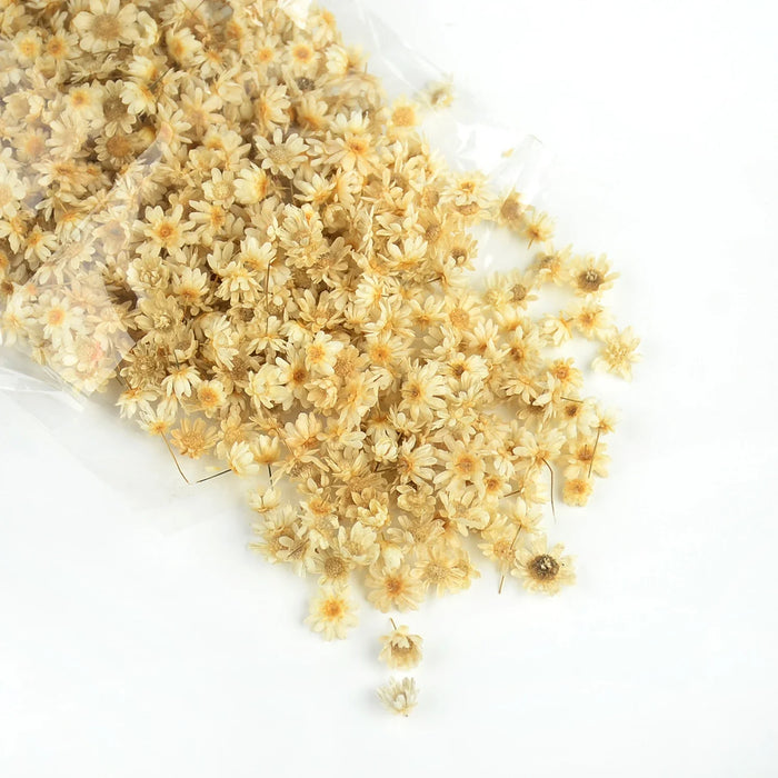 Dried Colorful Tiny Flowers for Resin Art | Fillings - Resinarthub