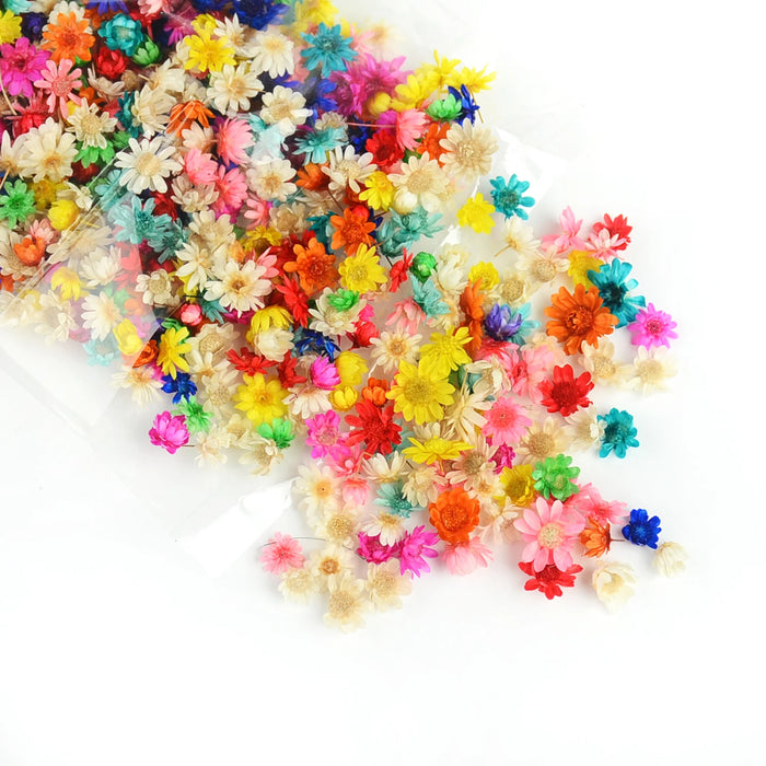 Dried Colorful Tiny Flowers for Resin Art | Fillings - Resinarthub