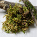 Mixed Green Artificial Moss For Art and Craft | Fillings - Resinarthub