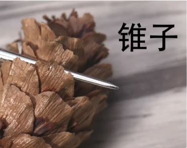Punching Needle with Rubber Grip for candle making(2 variants) | Tools - Resinarthub