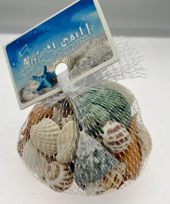 Natural Shells for Resin Art