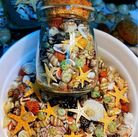 400pcs Natural Small Seashells And Conches (Includes 1 Glass Jar)