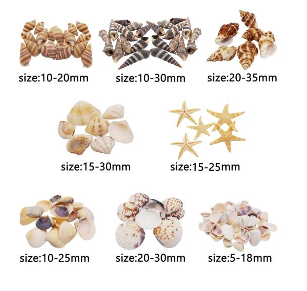 Tiny Small Starfish Sea Shells Conch Craft Charms for Resin Art