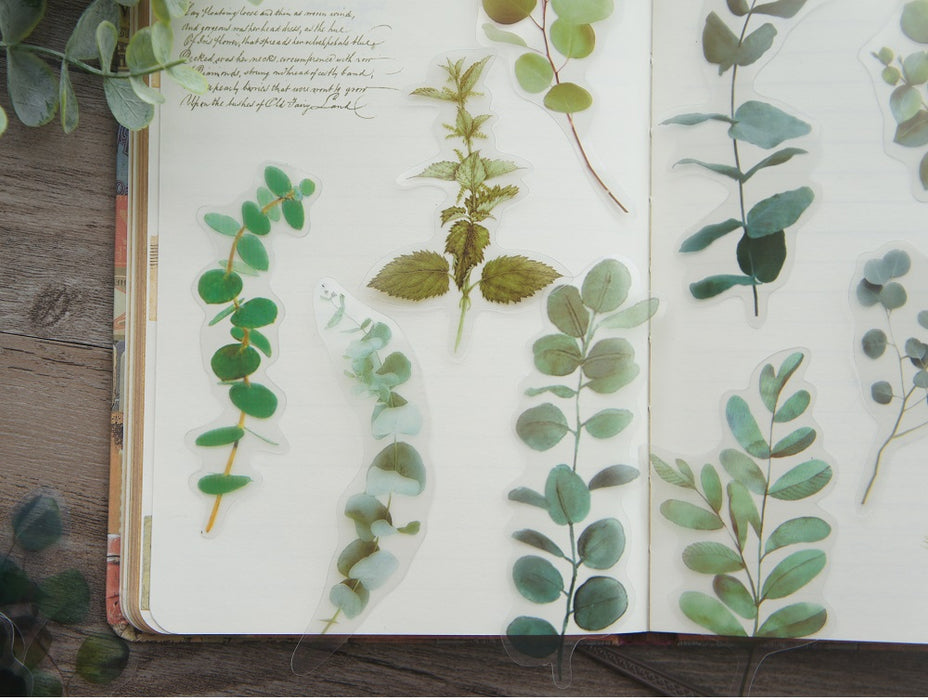 Natural Green Eucalyptus Leaves Sticker | Fillings - Resinarthub