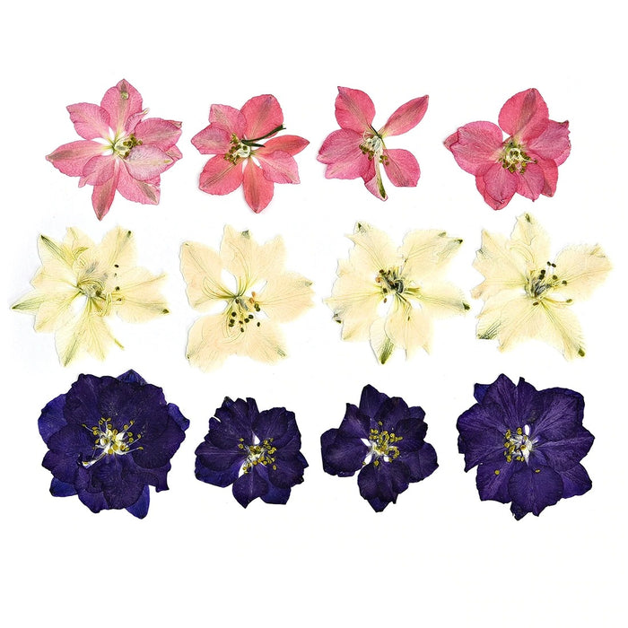 Small Dried Flowers in Various Colors, Shapes and Sizes for Epoxy Resin Art