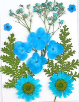 Small Pressed Dried Flowers Natural | Fillings - Resinarthub