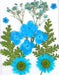 Small Pressed Dried Flowers Natural | Fillings - Resinarthub