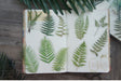 Natural Green Fern Iron Leaf Style Transparent Sticker (38pcs ) | Fillings - Resinarthub