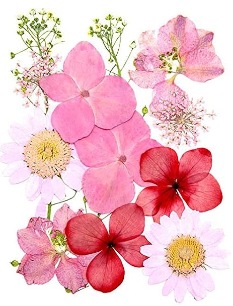 Small Pressed Dried Flowers Natural | Fillings - Resinarthub
