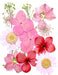 Small Pressed Dried Flowers Natural | Fillings - Resinarthub